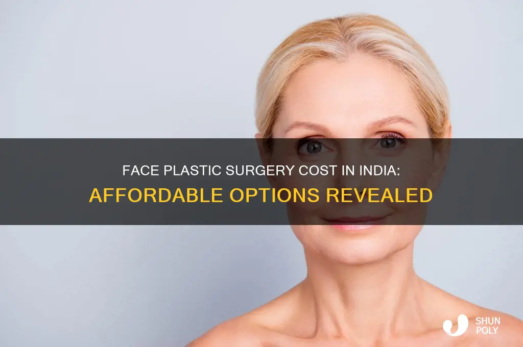how much cost for face plastic surgery in india