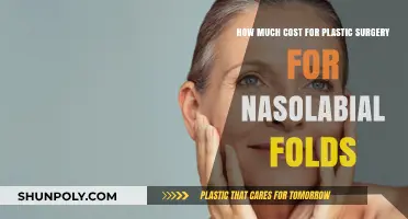 Plastic Surgery Costs for Nasolabial Folds: What to Expect