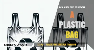The Hidden Costs of Recycling a Plastic Bag: What You Need to Know
