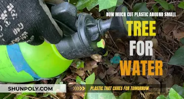 Protecting Small Trees: Watering and Plastic Cutting Guide