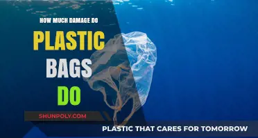 The Devastating Environmental Impact of Plastic Bags: A Comprehensive Analysis