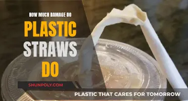 Plastic Straws: Harmful Impact on the Environment and Oceans