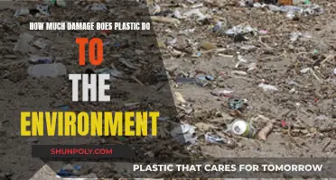 Plastic's Environmental Impact: Devastating and Long-lasting