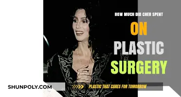 Cher's Plastic Surgery Journey: Unveiling the Cost of Her Transformation