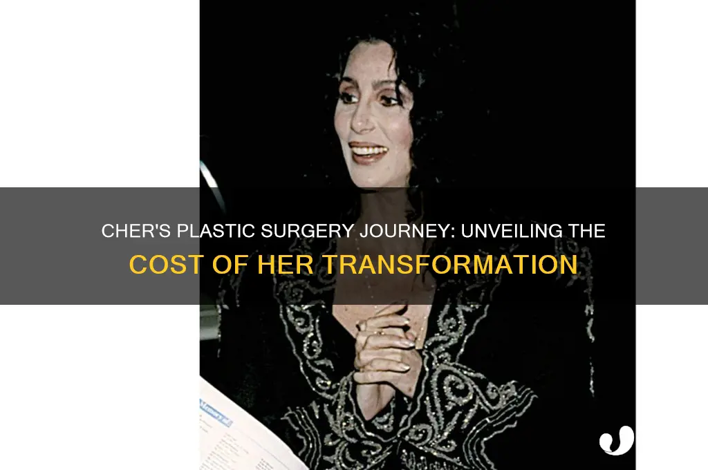 how much did cher spent on plastic surgery