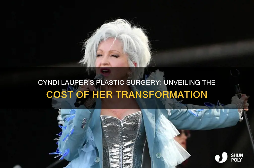 how much did cyndi laupers plastic surgery cost