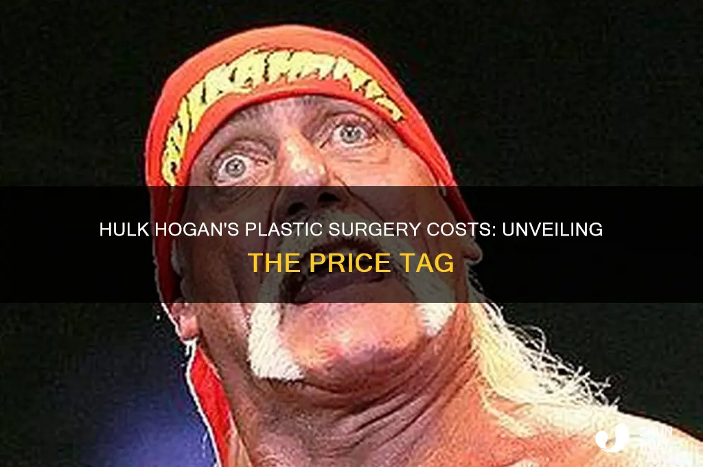 how much did he pay forthe plastic surgery hulk hogan