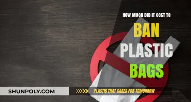 The Price of Progress: Banning Plastic Bags and Its Costs