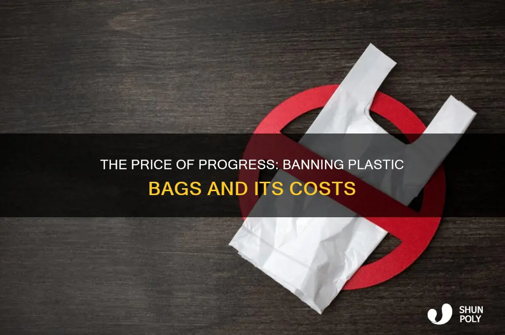 how much did it cost to ban plastic bags