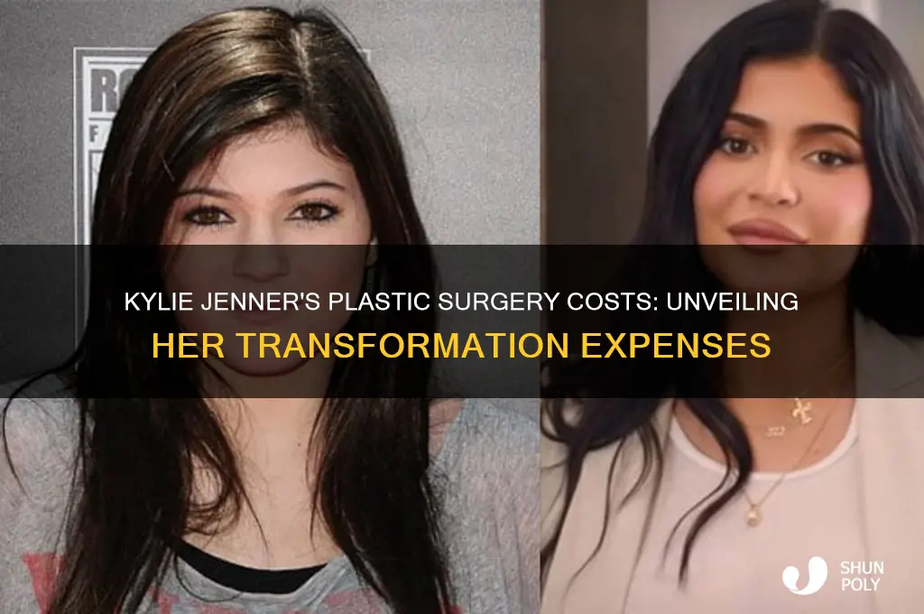 how much did kylie jenner spend on plastic surgery