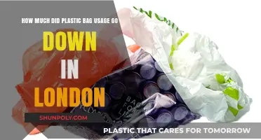 London's Plastic Bag Reduction: A Significant Decline in Usage Trends