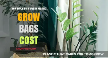 Affordable Gardening: 5-Gallon Plastic Grow Bags Pricing Guide