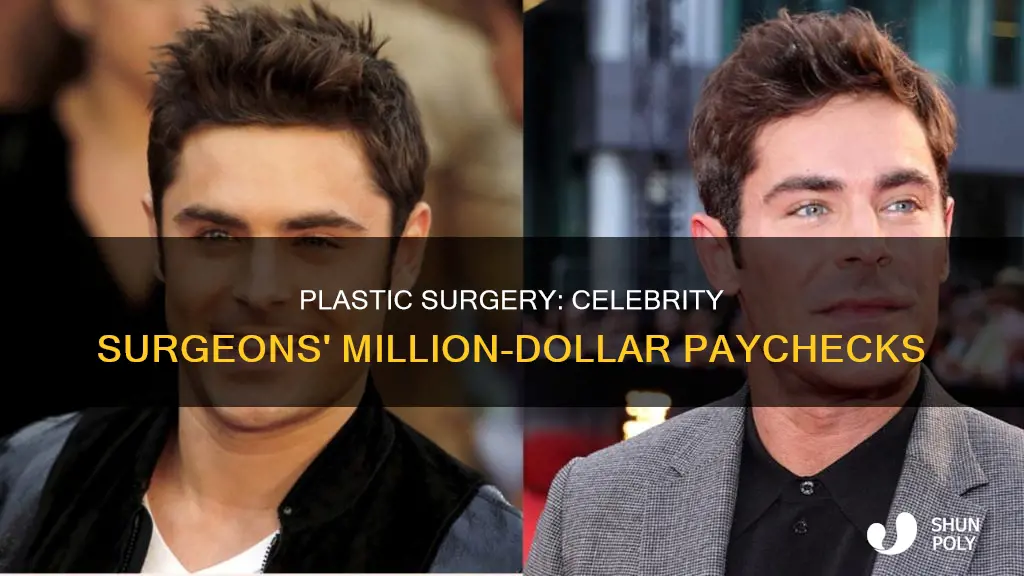 how much do celebrity plastic surgeons make