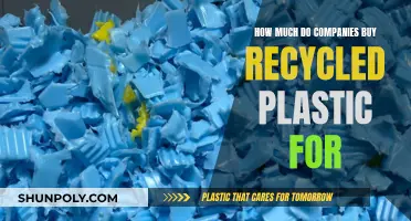 The Value of Recycled Plastic: What Companies Will Pay