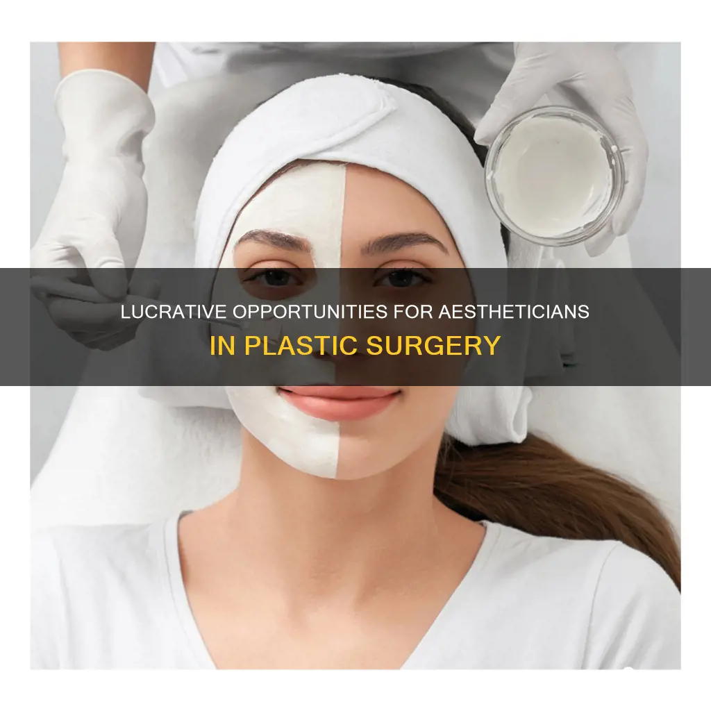 how much do esthecians at a plastic surgeron office make