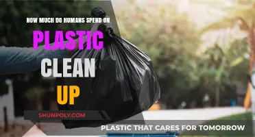 The Costly Battle: Global Spending on Plastic Cleanup Efforts