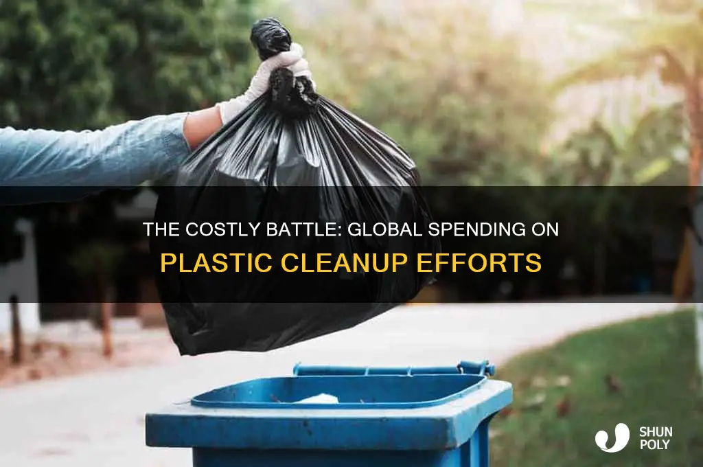 how much do humans spend on plastic clean up