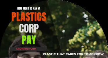 Salary Insights: Nan Ya Plastics Corp Pay Rates