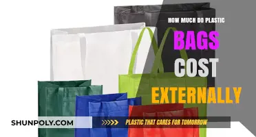 The Hidden External Costs of Plastic Bags: A Comprehensive Analysis