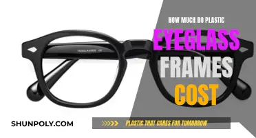 The Cost of Plastic Eyeglass Frames: How Much?