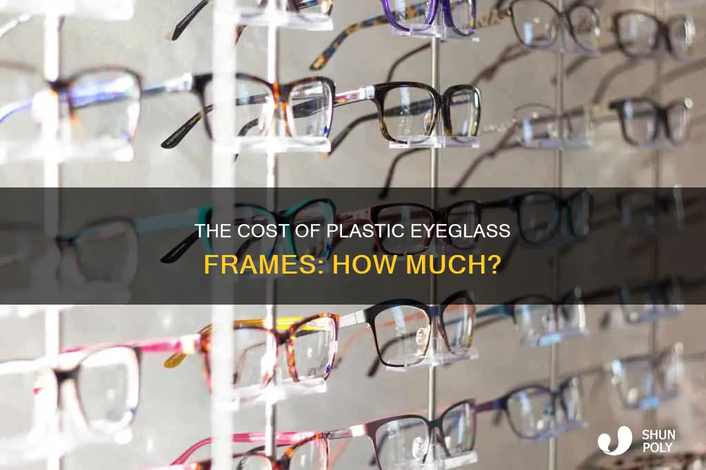 how much do plastic eyeglass frames cost