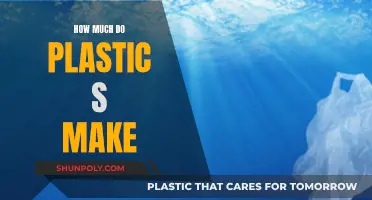 The Cost of Plastic Bags: Who Pays the Price?