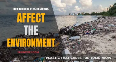 Plastic Straws: Environmental Impact and Solutions