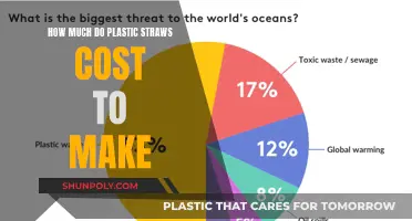 The Cost of Plastic Straws: Who Pays the Price?