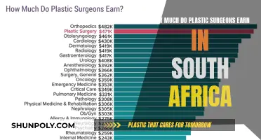 Plastic Surgeons in South Africa: High-Earning Professionals