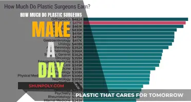 Lucrative Plastic Surgery: Daily Earnings of Surgeons