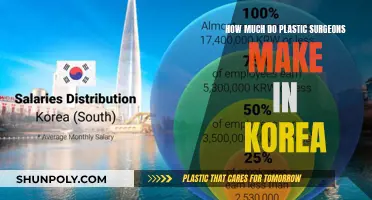 Plastic Surgeons in Korea: High Income, Competitive Market