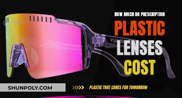 The Cost of Prescription Plastic Lenses: How Much?