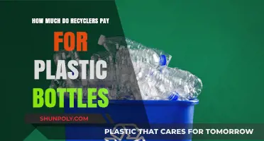 Recycling Plastic Bottles: Understanding Current Payout Rates for Recyclers