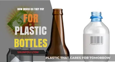 Earning from Recycling: Plastic Bottle Payouts Explained