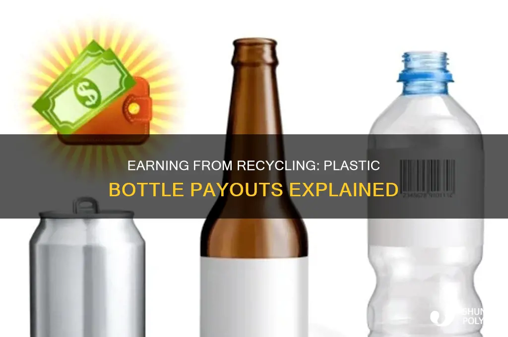 how much do they pay for plastic bottles