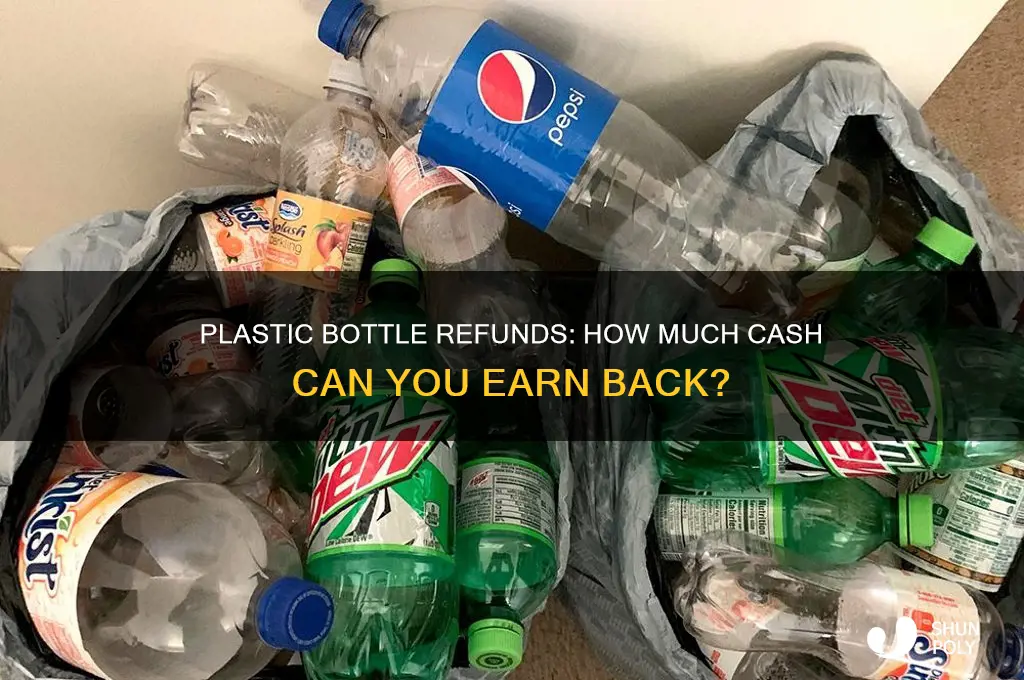 how much do u get back for plastic bottles