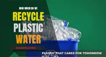 Unveiling the Plastic Recycling Mystery: How Much Water Bottles Do We Recycle?