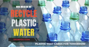 The Recycling Reality: Plastic Water Bottles and Our Future