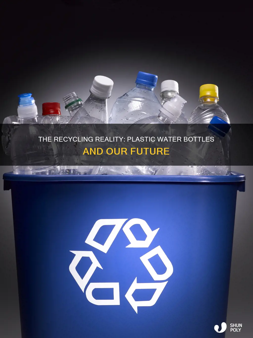 how much do we recycle plastic water