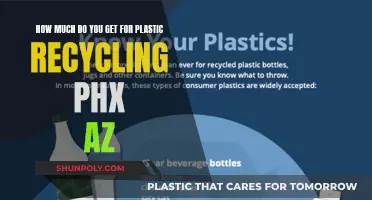 Phoenix Plastic Recycling: How Much Can You Earn?