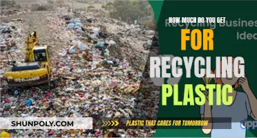 Earning from Plastic Waste: Recycling Rewards Revealed