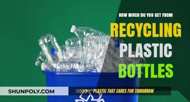 Recycling Plastic Bottles: Understanding Your Earnings and Environmental Impact
