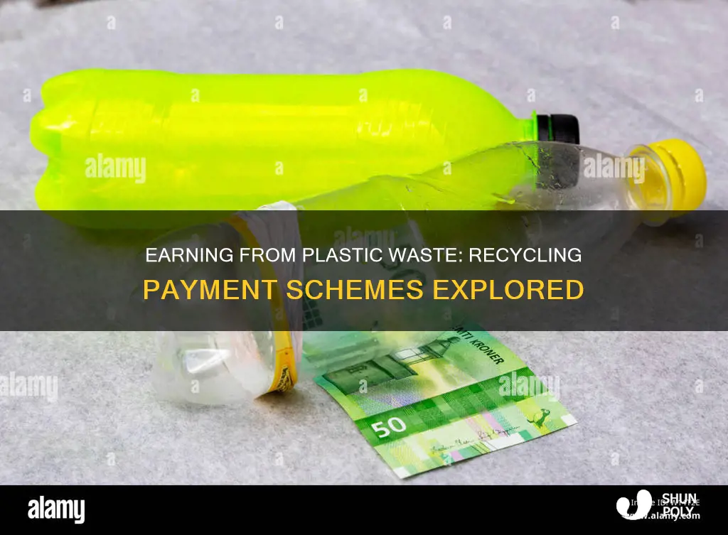 how much do you get paid to recycle plastic