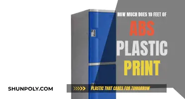 ABS Plastic Printing: 10 Feet, How Much?