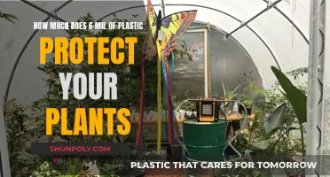 Protecting Plants: 6 Mil Plastic's Power