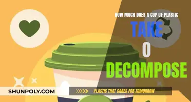 Plastic Cup Decomposition: The Long Goodbye