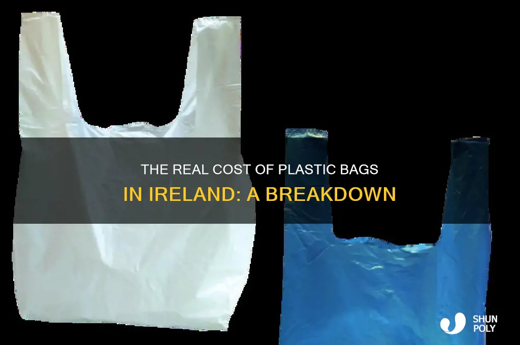 how much does a plastic bag cost in ireland
