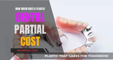 The Cost of Plastic Dental Partials: How Much?