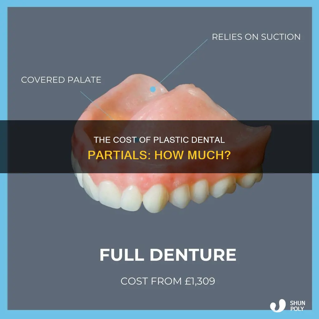 how much does a plastic dental partial cost