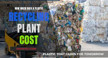 Setting Up a Plastic Recycling Plant: Cost Analysis